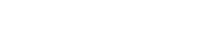 Bruviti